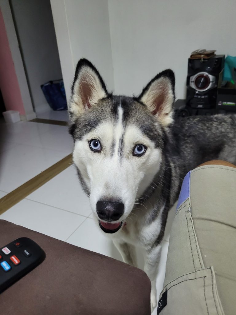 Zoe