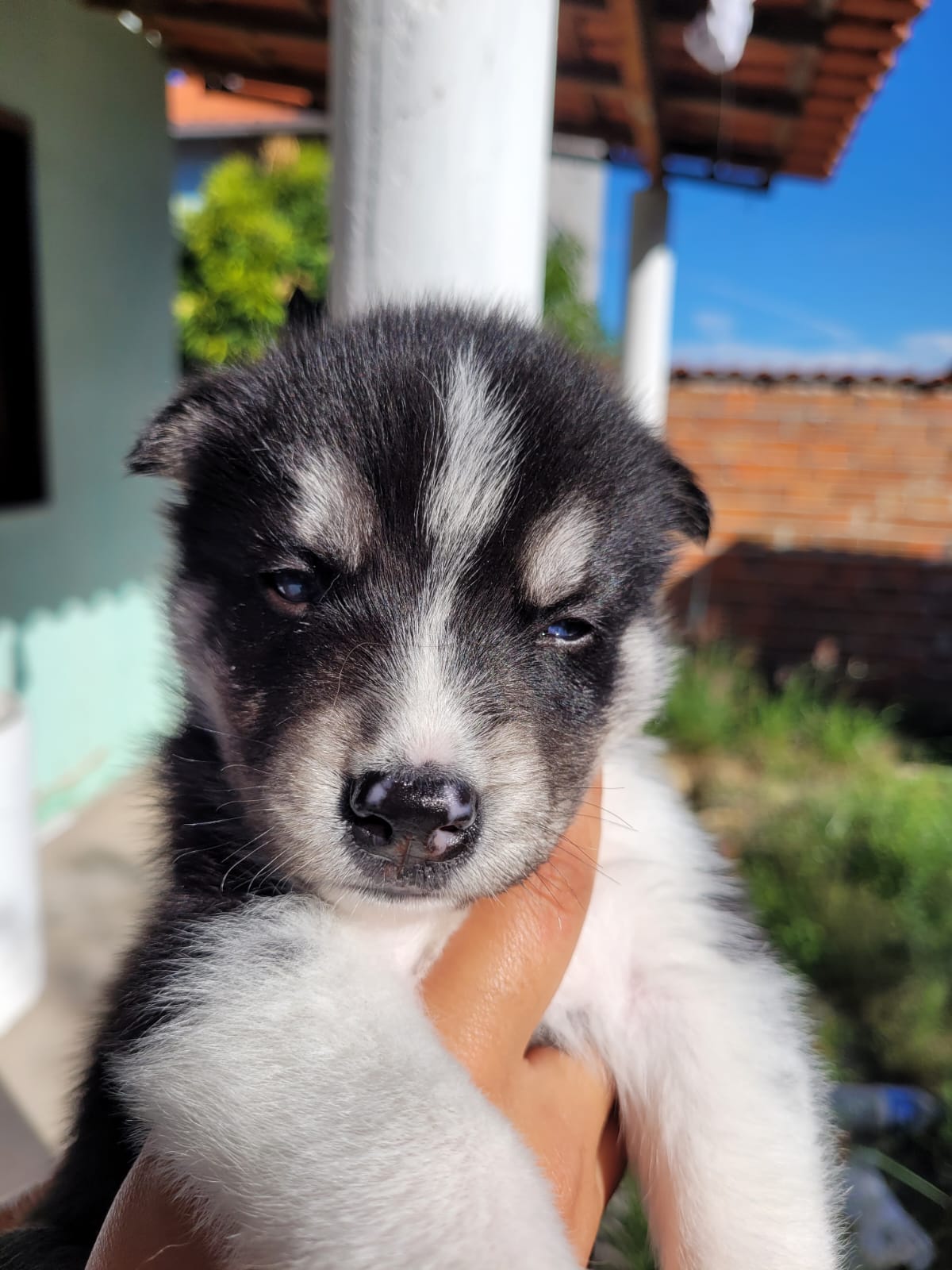 K+O 05/05/2023 – Imagem 2